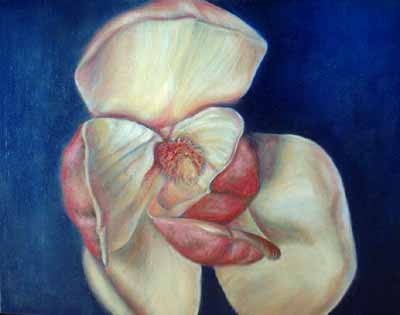 Magnolia, Floral Oil Painting